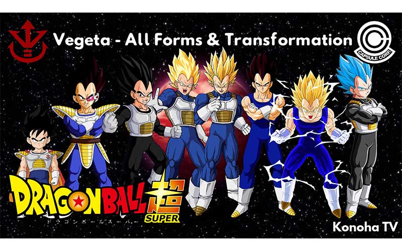 saiyan vegeta - topofthetop